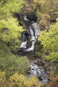 Duthil Burn and autumn foliage. Inverness-shire. Scotland. October 2006.