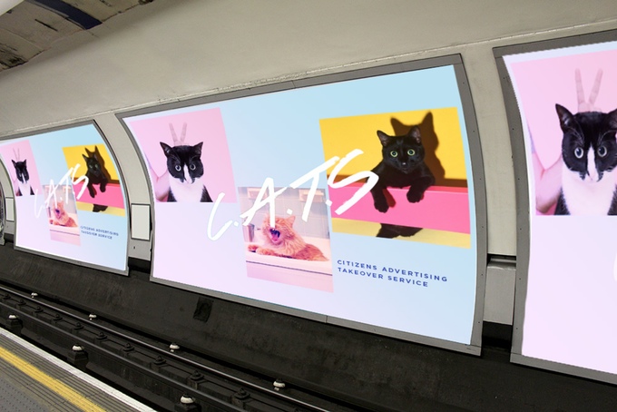 Replace Ads with Cats