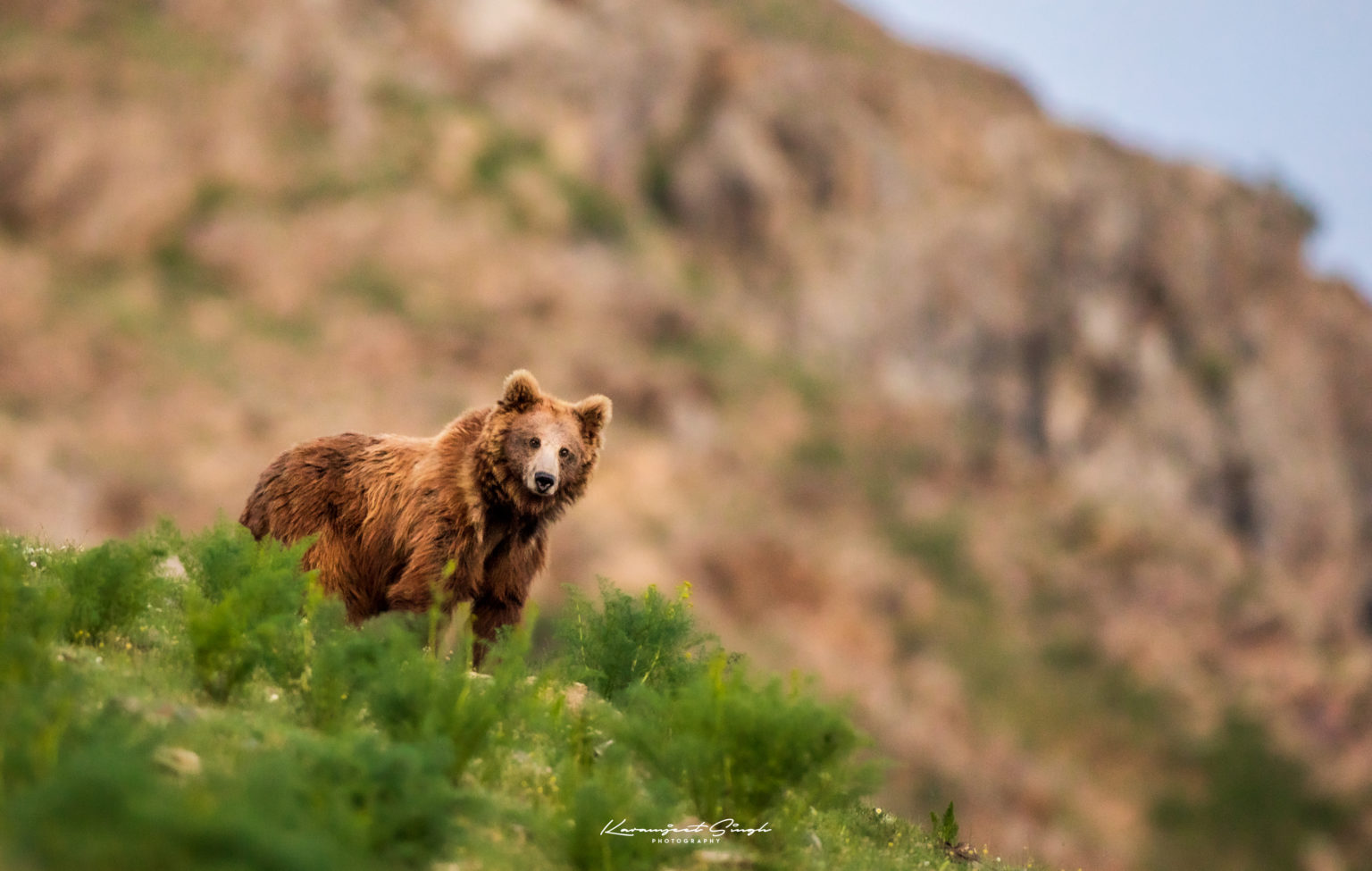 Master Wildlife and Travel Photography