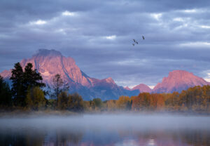 Summit Nature workshop 2025, Tetons