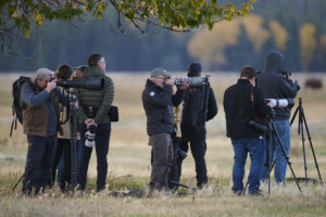 photographers capturing bison in Grand Teton National Park during nature photography workshop