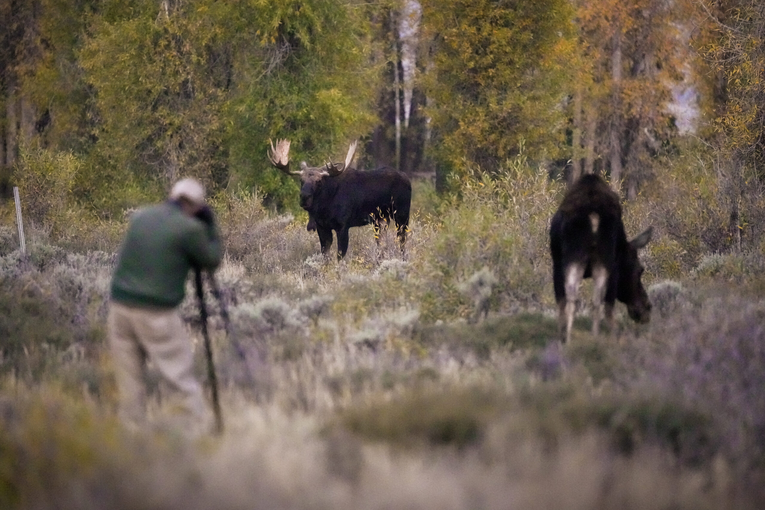 Learn from top nature Photographers