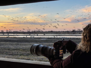 Student photographing Sandhill cranes from the blind along the Platte River